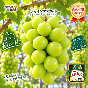 【予約】岡山県産 シャインマスカット 5kg 5～12房 贈答用秀品 フルーツ