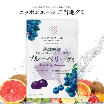 【メール便配送】ご当地グミ ニッポンエール 茨城県産 ブルーベリーグミ ご当地 お菓子 グルメ お土産 名産 果実グミ 全国農協食品 ブルーベリー