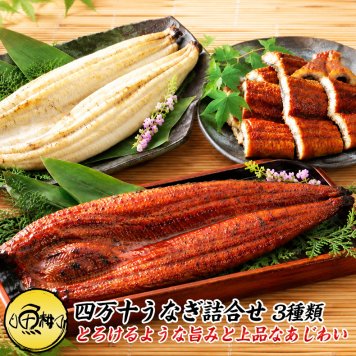 ウナギ 国産 ギフト 四万十うなぎ 詰合せ 3種類セット 日本最後の清流、四万十川の恵みで育った自慢のウナギ 【うなぎ/鰻/詰め合わせ/国内産/土用の丑/蒲焼き/素焼き/白焼き/贈答/プレゼント】