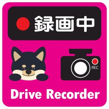 ドラレコ ステッカー シール 録画中 Drive Recorder 黒柴 ピンク 13x13cm 正方形 おしゃれ かわいい ドラレコシール 安全対策 危険運転 煽り運転 前後 アニマル 動物 イラスト付 ドライブレコーダー REC  カーサイン