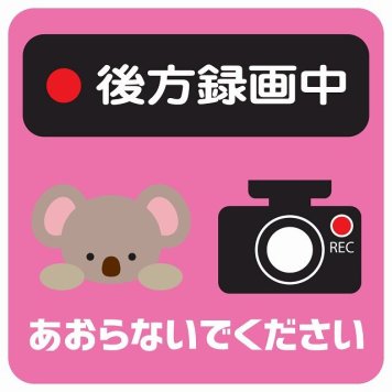 ドラレコ ステッカー シール 後方録画中 あおらないでください こあら ピンク 13x13cm 正方形 おしゃれ かわいい ドラレコシール 安全対策 危険運転 煽り運転 前後 アニマル 動物 イラスト付 ドライブレコーダー REC  カーサイン