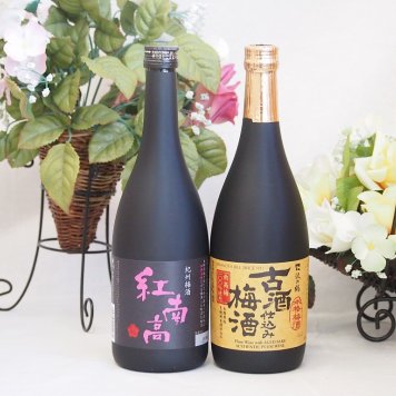 梅酒2本セット(古酒仕込み梅酒 紅南高梅酒20度(和歌山)) 720ml×2本