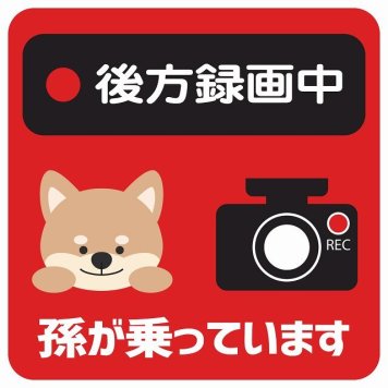 孫が乗っています 後方録画中 いぬ レッド サインステッカー シール 車 ステッカー 正方形 13x13cm 防水 屋内 屋外 セーフティサイン 安全対策 車用 安全運転 煽り運転対策 安全対策 かわいい イラスト カーサイン
