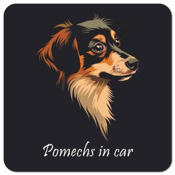 イラスト付 Dog in Car ポメックス Bタイプ カーサイン 車 マグネットステッカー 犬 マグネット 強力 13x13cm 正方形 おしゃれ かわいい ドラレコステッカー 安全対策 危険運転 煽り運転 アニマル 動物 犬種別 屋外 防水 屋内