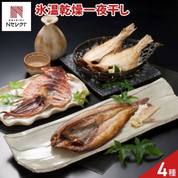 氷温乾燥 一夜干し 詰め合わせ 食べ比べセット 4種 6点入 干物 詰め合わせ ひもの 冷凍 イカ ほっけ 魚介 海鮮【沖縄県・離島 配送不可】