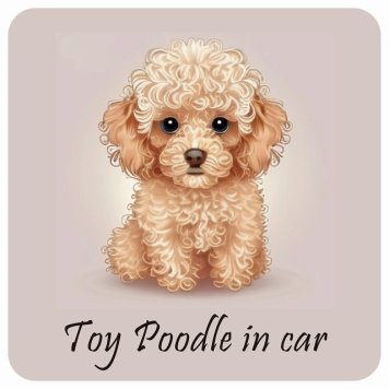 ドッグ カーステッカー イラスト付 Dog in Car トイプードル B タイプ セーフティサイン 犬種別 正方形 13x13cm シール リア あおり運転対策 Dog Sticker 屋外 屋内 防水 かわいい おしゃれ 安全対策 カーサイン