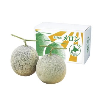 お中元 北海道赤肉メロン2玉 (810006) ※送料無料(北海道・沖縄・離島への配送不可)