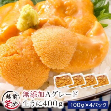 敬老の日 内祝い 誕生日 【送料無料】 生食用 うに 無添加・Ａグレード 400g (100ｇ×4) 【冷凍】ウニ 雲丹 お祝い 結婚祝い 還暦祝い プレゼント ギフト