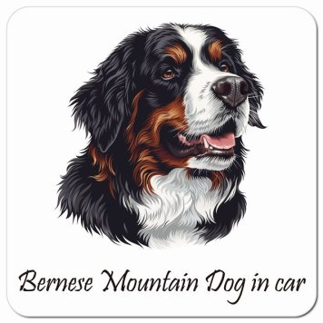 イラスト付 Dog in Car バーニーズ・マウンテン・ドッグ Bタイプ カーサイン 車 マグネットステッカー 犬 マグネット 強力 13x13cm 正方形 おしゃれ かわいい ドラレコステッカー 安全対策 危険運転 煽り運転 アニマル 動物 犬種別 屋外 防水 屋内