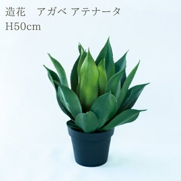 観葉植物 造花 アガベ アテナータ BROWN 全高約50cm 卓上・小型 フェイクグリーン 本物そっくり おしゃれ インテリア 人工観葉植物 アーティフィシャルグリーン オフィス 店舗 ホテル 開店祝い 室内 ミニ 多肉植物 フェイク