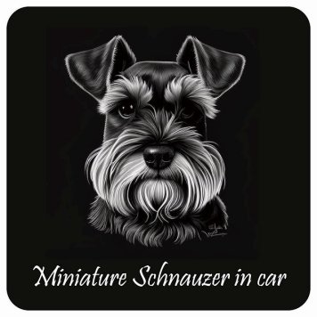 ドッグ カーステッカー イラスト付 Dog in Car ミニチュアシュナウザー Aタイプ セーフティサイン 犬種別 正方形 13x13cm シール リア あおり運転対策 Dog Sticker 屋外 屋内 防水 かわいい おしゃれ 安全対策 カーサイン