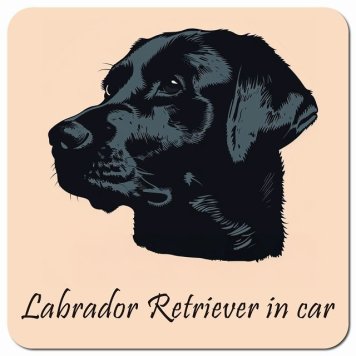 イラスト付 Dog in Car ラブラドールレトリバー Aタイプ カーサイン 車 マグネットステッカー 犬 マグネット 強力 13x13cm 正方形 おしゃれ かわいい ドラレコステッカー 安全対策 危険運転 煽り運転 アニマル 動物 犬種別 屋外 防水 屋内