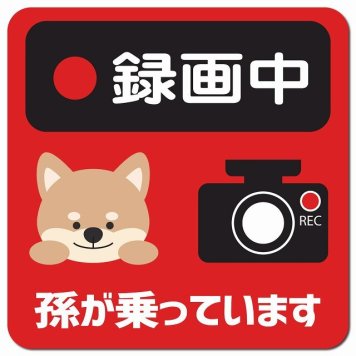 孫が乗っています 録画中 いぬ レッド カーサイン 車 マグネットステッカー マグネット 強力 13x13cm 正方形 防水 屋内 屋外 セーフティサイン 安全運転 車内用 煽り運転対策 安全対策 カーサイン イラスト かわいい