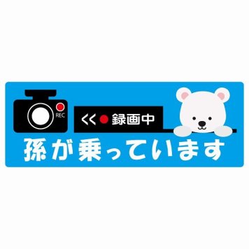 孫が乗っています 録画中 しろくま ライトブルー サインステッカー シール 車 ステッカー 長方形 14x5cm 防水 屋内 屋外 セーフティサイン 安全対策 車用 安全運転 煽り運転対策 安全対策 かわいい イラスト カーサイン