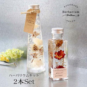 ハーバリウム手作りキット 花材8種 ２本セット [カプチーノ]【 花 ハーバリウム キット ギフトに最適 プレゼント ドライフラワー かすみ草 ハンドメイド インテリア 雑貨 ガラス 瓶 ワークショップ イベント】