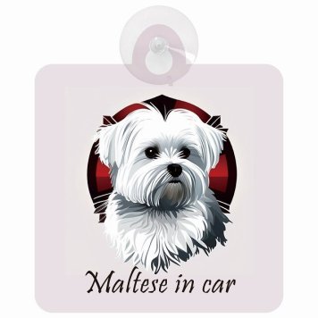 Maltese マルチーズ Bタイプ 車 窓ガラス 吸盤タイプ 犬 かっこいい おしゃれ イラスト付 DOG IN CAR ドッグインカー ドッグオンボード 安全対策 セーフティサイン デコ 外出 ドライブ カーサイン 吸盤