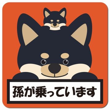 孫が乗っています 祖父母と孫 黒柴 オレンジ カーサイン 車 マグネットステッカー マグネット 強力 13x13cm 正方形 防水 屋内 屋外 セーフティサイン 安全運転 車内用 煽り運転対策 安全対策 カーサイン イラスト かわいい