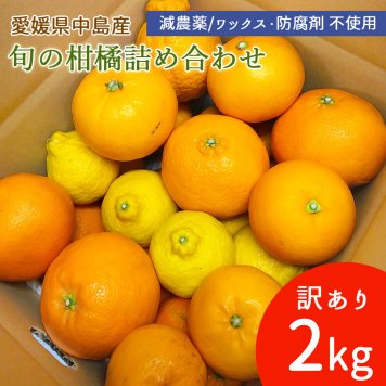 訳あり 中島産 旬の柑橘詰合せ 2kg みかん 中島まどんな レモン 天草 ポンカン 伊予柑 はれひめ はるみ たまみ ひめのつき せとか 不知火 媛小春 ブラッドオレンジ 清見 サマー清見 はるか 甘夏 カラマンダリン 河内晩柑 希望の島産【送料無料】