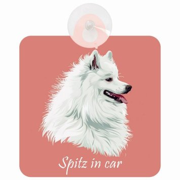 Spitz スピッツ Bタイプ 車 窓ガラス 吸盤タイプ 犬 かっこいい おしゃれ イラスト付 DOG IN CAR ドッグインカー ドッグオンボード 安全対策 セーフティサイン デコ 外出 ドライブ カーサイン 吸盤