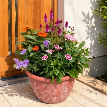季節の寄せ植え リーフ柄 軽量プラスチック鉢 内径24cm  （レッド ・4色展開）６～7種類のお花で構成 ラッピング不可 ギフトメッセージOK