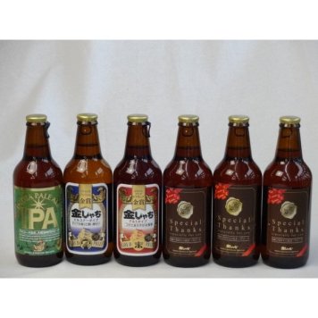 クラフトビールパーティ6本セット IPA330ml　IPA感謝ビール330ml　金しゃちピルスナー330ml　金しゃちアルト330ml