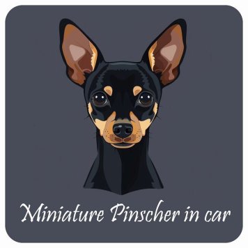 ドッグ カーステッカー 犬 イラスト付 Dog in Car ミニチュアピンシャー Bタイプ セーフティサイン 犬種別 正方形 13x13cm シール リア あおり運転対策 Dog Sticker 屋外 屋内 防水 かわいい おしゃれ 安全対策 カーサイン