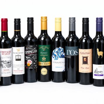 セレクションワイン10本セット ( 赤ワイン 10本)750ml×10本