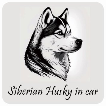 ドッグ カーステッカー イラスト付 Dog in Car シベリアンハスキー Aタイプ セーフティサイン 犬種別 正方形 13x13cm シール リア あおり運転対策 Dog Sticker 屋外 屋内 防水 かわいい おしゃれ 安全対策 カーサイン
