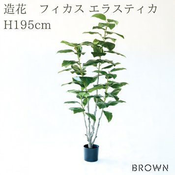 観葉植物 造花 フィカス エラスティカ BROWN 全高約195cm 大型 株立ち フェイクグリーン 高級 本物そっくり リアル おしゃれ インテリア 人工観葉植物 アーティフィシャルグリーン オフィス 店舗 ホテル 開店祝い 室内 リビング 玄関 風水 ゴムの木 インドゴムノキ