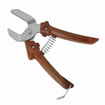 渋木製作所 【メール便での発送商品】 ぎんなん割り器 4580118852020