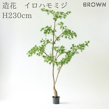 観葉植物 造花 イロハモミジ BROWN 全高約230cm 大型 フェイクグリーン 高級 本物そっくり リアル おしゃれ 和風 和モダン インテリア 人工観葉植物 アーティフィシャルグリーン オフィス 店舗 ホテル 旅館 開店祝い 室内 リビング 玄関 風水 もみじ 紅葉 カエデ