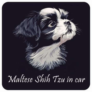 ドッグ カーステッカー イラスト付 Dog in Car マルシーズー Bタイプ セーフティサイン 犬種別 正方形 13x13cm シール リア あおり運転対策 Dog Sticker 屋外 屋内 防水 かわいい おしゃれ 安全対策 カーサイン