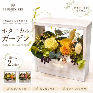  プリザーブドフラワー フラワーフレーム ナチュラル ボタニカルフレーム ／木製 バラ 花 ギフト 誕生日 母の日 プレゼント インテリア おしゃれ 結婚祝い 新築祝い 枯れない花