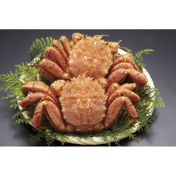北海道産ボイル毛がに320g×2尾 320*2【直送品】［送料無料］ 