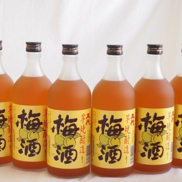 梅酒6本セット(芋焼酎仕込五代梅酒(鹿児島)) 720ml×6本