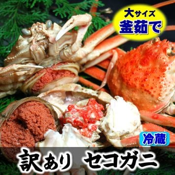 とれたて 訳あり せこがに/セコガニ(冷蔵/釜茹で/ボイル)  希少な 大サイズ 3枚  送料無料　※北海道、東北、沖縄は送料別途加算 子持ちがに 親ガニ 香箱 蟹 お歳暮 御祝い お礼 ハレノヒ 晴れの日
