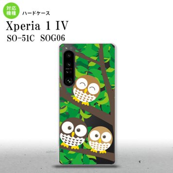 SO-51C SOG06 XPERIA 1 IV Xperia 1 IV スマホケース 背面ケース ハードケース フクロウ C 緑 メンズ レディース nk-xp14-1094