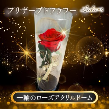 プリザーブドフラワー バラ 薔薇 ローズ 一輪 アクリルドーム ガラスドーム風 プレゼント ギフト 誕生日 記念日 プロポーズ 告白 結婚祝い 還暦 母の日 敬老の日 ホワイトデー クリスマス 彼女 妻 女性 サプライズ 贈り物 退職祝い お祝い 花 赤 かすみ草 アーティフィシャルフラワー 専用ボックス ケース付き インテリア 卓上 枯れない花 ブリザードフラワー ウエディング おしゃれ