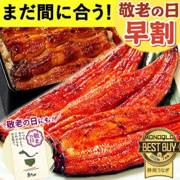 ＼早割！9/8の16時まで／ 敬老の日 早割 お中元 うなぎ 国産 【浜松 浜名湖 うなぎのたなか】 誕生日 プレゼント ギフト 鰻 うなぎのたなか 蒲焼き 誕生日プレゼント グルメギフト 送料無料  お祝い グルメ 人気 内祝い ご褒美 即日配送 90～110g 2本～6本 土用の丑 海鮮 食べ物 おつまみ 高級 簡易箱 化粧箱 風呂敷 1～6人前 40代 50代 60代 70代 80代