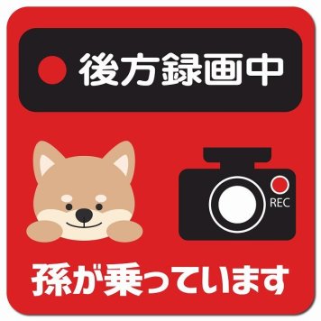 孫が乗っています 後方録画中 いぬ レッド カーサイン 車 マグネットステッカー マグネット 強力 13x13cm 正方形 防水 屋内 屋外 セーフティサイン 安全運転 車内用 煽り運転対策 安全対策 カーサイン イラスト かわいい