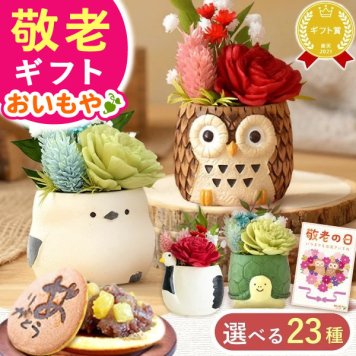 【早割 9/14 16時まで】 敬老の日 すぐ贈れるギフト 即日発送 誕生日 プレゼント ギフト 花 フラワーギフト プリザーブドフラワー ミニ 動物 アニマル フラワーアレンジメント バラ 薔薇 一輪 ふくろう 犬 猫 かわいい おしゃれ どら焼き 送料無料 スイーツ お菓子 和菓子 母 実母 自分の母 義母 妻 40代 50代 60代 70代 花セット 花とお菓子 2000円 3000円