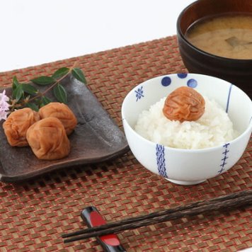 ふっくら、まろやかな甘みの 紀州産南高梅はちみつ漬750g