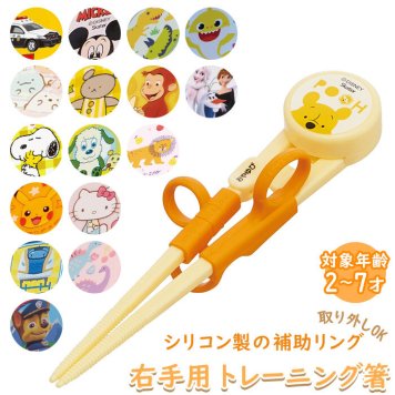 お箸 子供用 おはし おけいこ 持ち方 キッズ 子供 トレーニング 矯正箸 練習 子供用お箸 スケーター キャラクター 右手用 しつけ箸 女の子 男の子