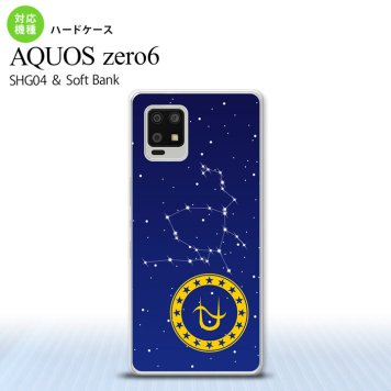 SHG04 SHG04 ZERO6 AQUOS zero6 スマホケース ハードケース 星座 ヘビ遣い座 メンズ レディース nk-zero6-849