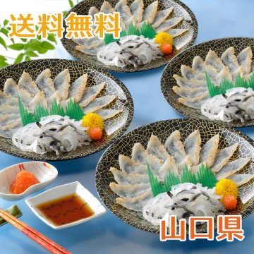 【送料無料】真ふぐたたき刺身セット 4皿セット【誕生日 結婚祝い 出産祝い 還暦祝い 結婚記念日 送別会 お祝い 引越し祝い 新築祝い 初節句 古希 喜寿 傘寿 お返し 内祝い お見舞い 快気祝い 金婚式 銀婚式 パーティー 景品 賞品 グルメ 母 父 女性 男性 両親 友達 親戚 上司 先輩 後輩 家族 子供 大人 彼氏 彼女 夫婦】【お歳暮 ハロウィン】