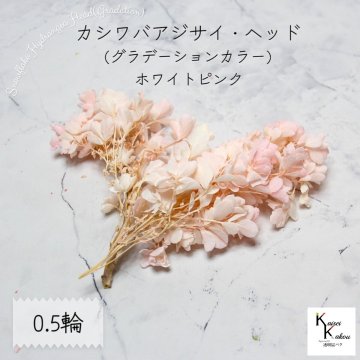 宅急便で発送 大地農園！ プリザーブドフラワー 「カシワバアジサイ (グラデーション) ホワイトピンク 0.5輪分」 アジサイ