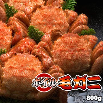 ボイル毛ガニ【超特大】800g前後 送料無料 ※沖縄は送料別途加算
