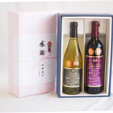 実りの秋の贈り物 感謝の贈り物ボックス山梨県勝沼甲州100%辛口白ワインと国産ワインセット(樽熟成松本メルロ赤ワイン フルボディ(山梨県)750mlグラン・シャンモリ山梨県勝沼甲州100%シュール・リー辛口白ワイン750ml