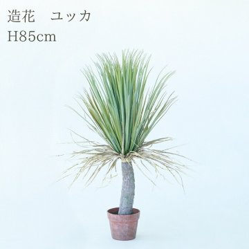 観葉植物 造花 ユッカ BROWN 全高約85cm 中型 フェイクグリーン 本物そっくり おしゃれ インテリア 人工観葉植物 アーティフィシャルグリーン オフィス 店舗 ホテル 開店祝い 室内 青年の木 エレファンティペス フェイク