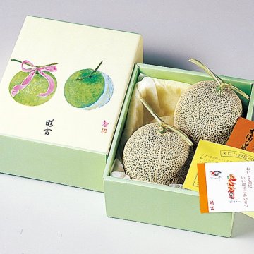 アールスメロン（2玉）【送料無料】_GM101-020__フルーツ/果物/母の日/父の日/お中元/お歳暮/敬老の日